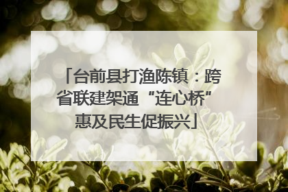 台前县打渔陈镇：跨省联建架通“连心桥” 惠及民生促振兴
