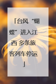 台风“蝴蝶”进入江西 多条旅客列车停运