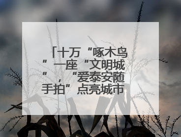 十万“啄木鸟”一座“文明城”，“爱泰安随手拍”点亮城市文明之光