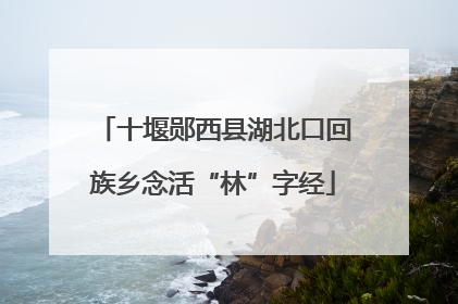 十堰郧西县湖北口回族乡念活“林”字经