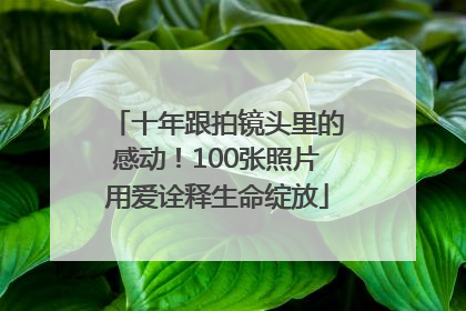 十年跟拍镜头里的感动！100张照片用爱诠释生命绽放