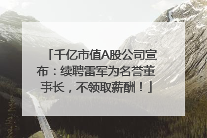 千亿市值A股公司宣布：续聘雷军为名誉董事长，不领取薪酬！