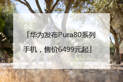 华为发布Pura80系列手机，售价6499元起