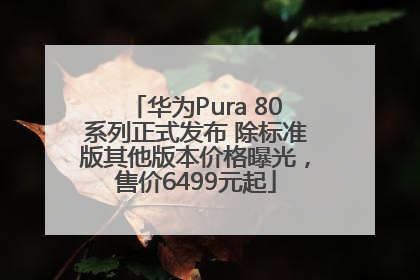 华为Pura 80系列正式发布 除标准版其他版本价格曝光，售价6499元起