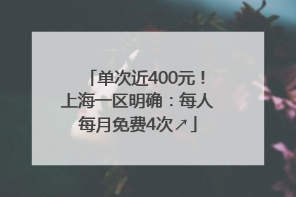 单次近400元！上海一区明确：每人每月免费4次↗