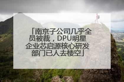 南京子公司几乎全员被裁，DPU明星企业芯启源核心研发部门已人去楼空