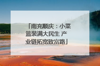 南充顺庆：小菜篮装满大民生 产业链拓宽致富路