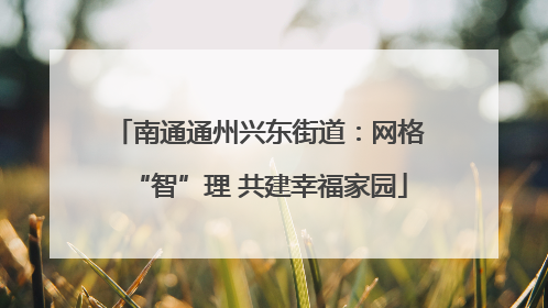 南通通州兴东街道：网格“智”理 共建幸福家园