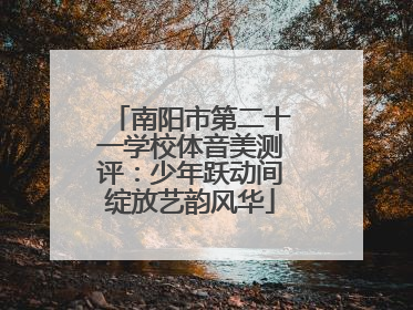 南阳市第二十一学校体音美测评：少年跃动间绽放艺韵风华