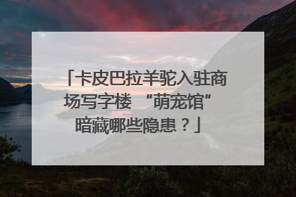 卡皮巴拉羊驼入驻商场写字楼 “萌宠馆”暗藏哪些隐患？