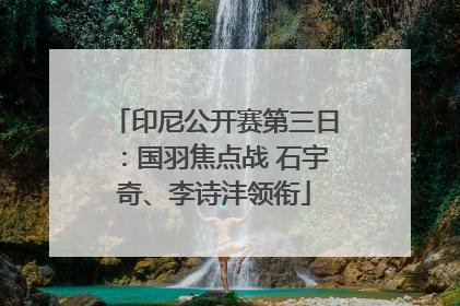 印尼公开赛第三日：国羽焦点战 石宇奇、李诗沣领衔