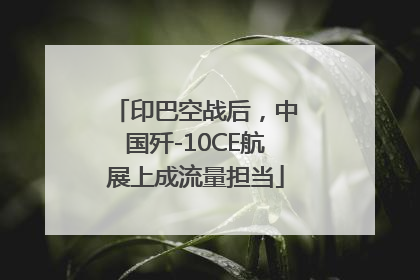 印巴空战后，中国歼-10CE航展上成流量担当