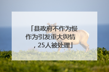 县政府不作为慢作为引发重大舆情，25人被处理