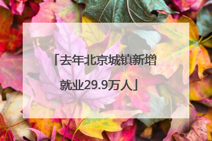 去年北京城镇新增就业29.9万人