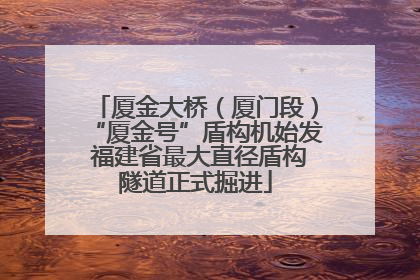 厦金大桥（厦门段）“厦金号”盾构机始发 福建省最大直径盾构隧道正式掘进