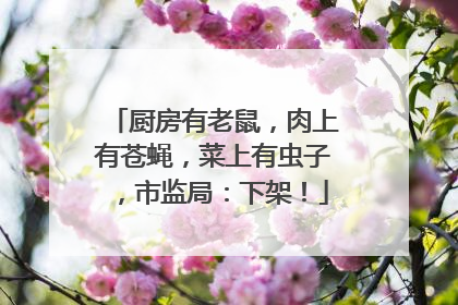 厨房有老鼠，肉上有苍蝇，菜上有虫子，市监局：下架！