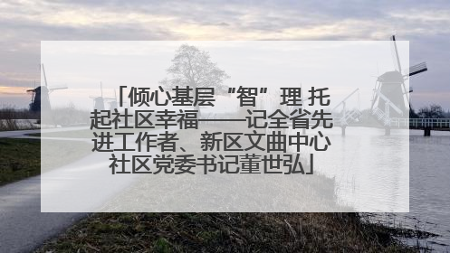 倾心基层“智”理 托起社区幸福——记全省先进工作者、新区文曲中心社区党委书记董世弘