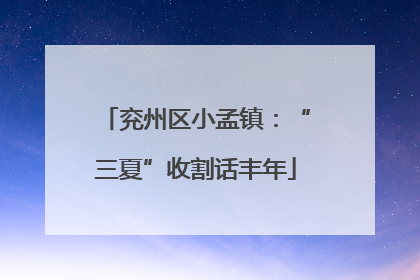 兖州区小孟镇：“三夏”收割话丰年