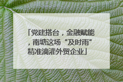 党建搭台，金融赋能，南塘这场“及时雨”精准滴灌外贸企业