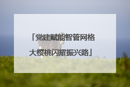 党建赋能智管网格 大樱桃闪耀振兴路