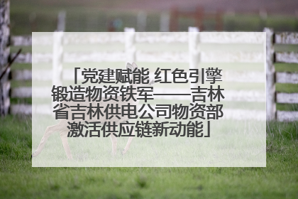 党建赋能 红色引擎锻造物资铁军——吉林省吉林供电公司物资部激活供应链新动能