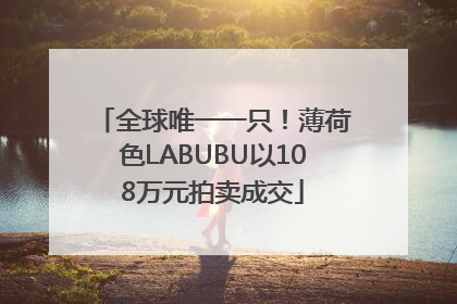 全球唯一一只！薄荷色LABUBU以108万元拍卖成交