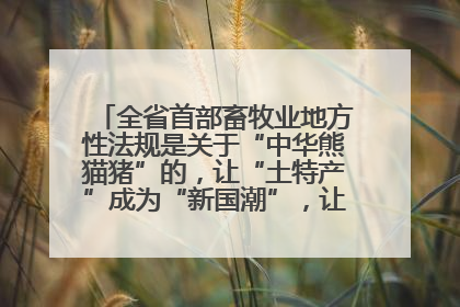 全省首部畜牧业地方性法规是关于“中华熊猫猪”的，让“土特产”成为“新国潮”，让“农产品”升格为“城市IP”