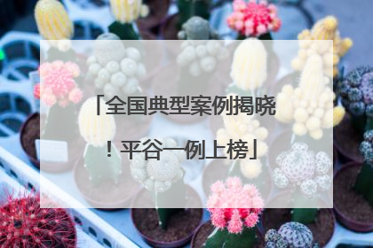 全国典型案例揭晓！平谷一例上榜