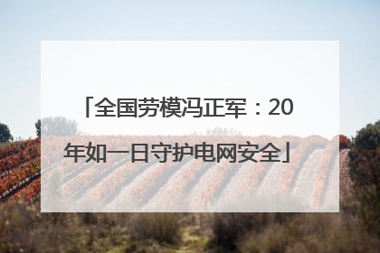全国劳模冯正军：20年如一日守护电网安全