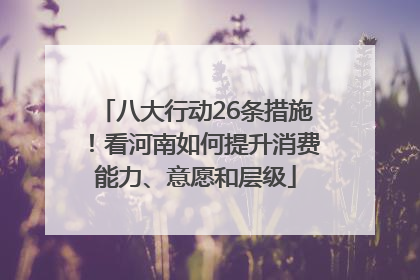 八大行动26条措施！看河南如何提升消费能力、意愿和层级