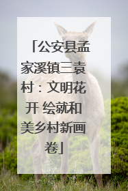 公安县孟家溪镇三袁村：文明花开 绘就和美乡村新画卷