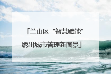 兰山区“智慧赋能”绣出城市管理新图景