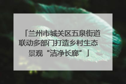 兰州市城关区五泉街道联动多部门打造乡村生态景观“洁净长廊”