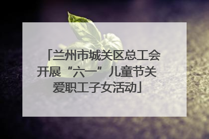 兰州市城关区总工会开展“六一”儿童节关爱职工子女活动