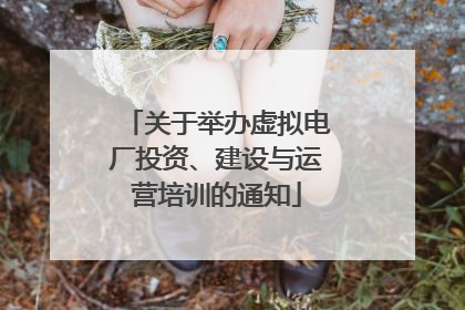 关于举办虚拟电厂投资、建设与运营培训的通知