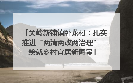 关岭新铺镇卧龙村：扎实推进“两清两改两治理” 绘就乡村宜居新图景