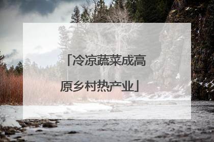 冷凉蔬菜成高原乡村热产业