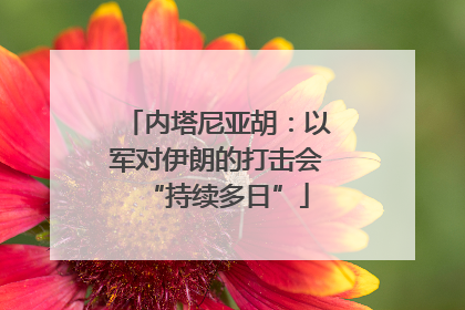 内塔尼亚胡：以军对伊朗的打击会“持续多日”