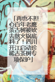 再也不担心百年老鹰茶古树被砍去熬火锅底料了！四川开江启动珍稀古茶树专项保护