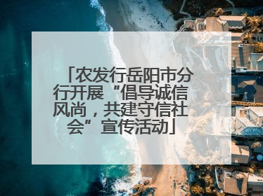 农发行岳阳市分行开展“倡导诚信风尚，共建守信社会”宣传活动