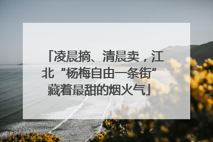 凌晨摘、清晨卖，江北“杨梅自由一条街”藏着最甜的烟火气