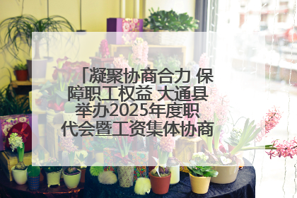 凝聚协商合力 保障职工权益 大通县举办2025年度职代会暨工资集体协商现场观摩交流活动