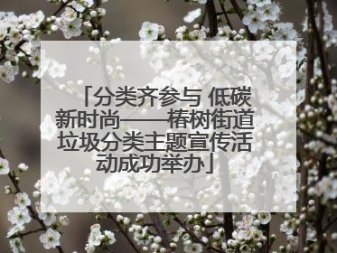 分类齐参与 低碳新时尚——椿树街道垃圾分类主题宣传活动成功举办