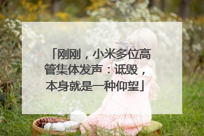 刚刚，小米多位高管集体发声：诋毁，本身就是一种仰望
