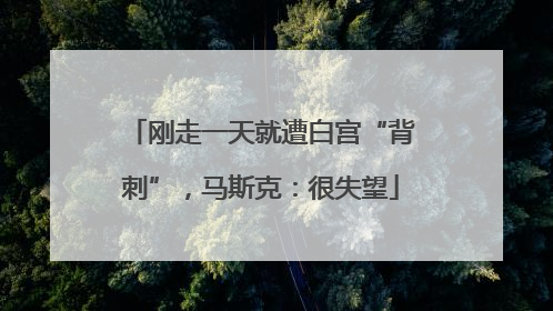刚走一天就遭白宫“背刺”，马斯克：很失望