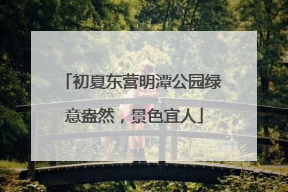 初夏东营明潭公园绿意盎然，景色宜人