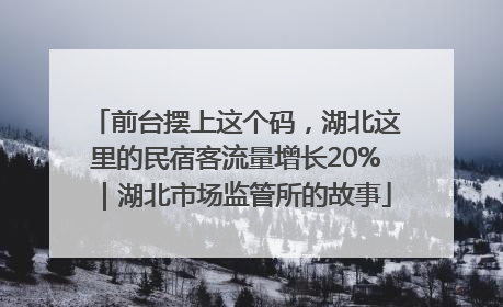 前台摆上这个码，湖北这里的民宿客流量增长20%｜湖北市场监管所的故事