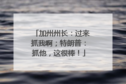 加州州长：过来抓我啊；特朗普：抓他，这很棒！