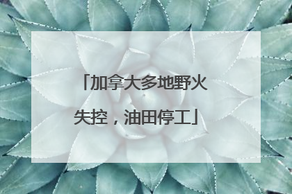 加拿大多地野火失控，油田停工