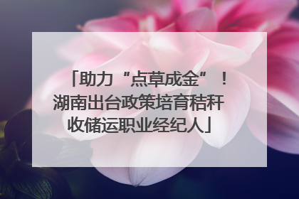 助力“点草成金”！湖南出台政策培育秸秆收储运职业经纪人